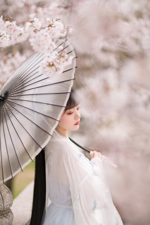 少女たちよ在线观看完整版动漫-高清